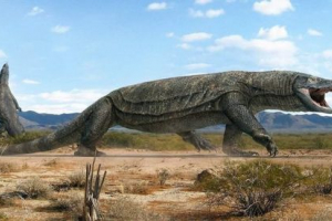 Megalania - nekad postojeći gušter na zemlji Megalania - nekad postojeći gušter na zemlji