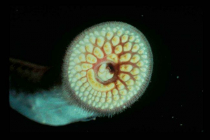 Moje mini-formiranje Moje mini-formiranje