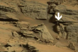 Mars je otkrio kostur guštera Mars je otkrio kostur guštera