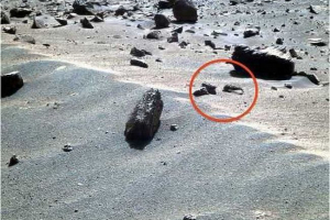 Mars je otkrio škampe i škorpion Mars je otkrio škampe i škorpion