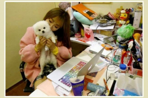 Raditi - s kućnim ljubimcem! Novi čip u uredima šangaja Raditi - s kućnim ljubimcem! Novi čip u uredima šangaja