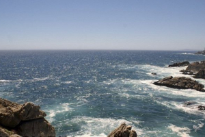 Pronašao je stvorenje s glavom, ali bez tijela Pronašao je stvorenje s glavom, ali bez tijela