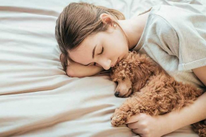 Nekve pasmine pasa - što je od njih bolje izabrati? Nekve pasmine pasa - što je od njih bolje izabrati?