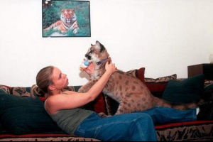 Neobični kućni ljubimci: fotografija egzotičnih kućnih ljubimaca