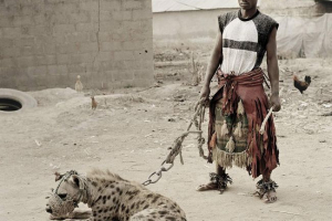 Neobični kućni ljubimci afrikanci