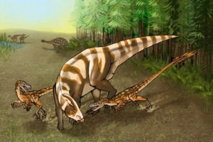 Pronađen je nova vrsta dinosaura koja se pokazala kao super-nyukhach Pronađen je nova vrsta dinosaura koja se pokazala kao super-nyukhach