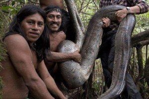 Otkrio najdužu zmiju u svijetu Otkrio najdužu zmiju u svijetu