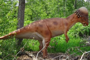 Pakhicefalosaur - najtajanstveniji dinosaura