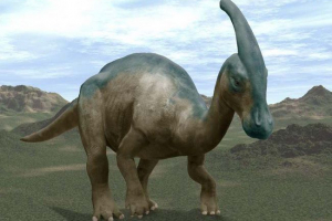 Parasavolofus Parasavolofus