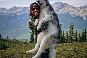 Lok loki ponovno je postao zvijezda youtube Lok loki ponovno je postao zvijezda youtube