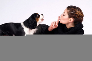 Stvaranje glasovnih ligamenata u pasa: pluse i kontra operacija Stvaranje glasovnih ligamenata u pasa: pluse i kontra operacija