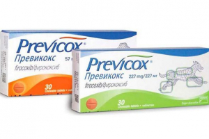 Prekokup za pse - što je ovaj lijek?