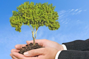 Primijenjena ekologija Primijenjena ekologija