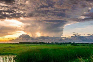 Primjeri sezonskih fenomena živih i neživih priroda