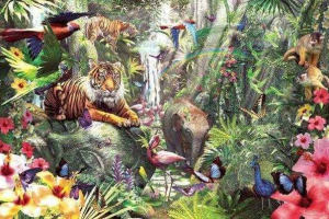 Priroda azije Priroda azije