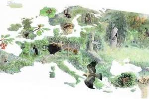 Priroda europe