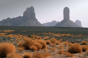 Priroda, flora i fauna alžira - karakteristika i fotografije Priroda, flora i fauna alžira - karakteristika i fotografije