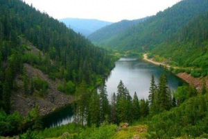 Priroda regije khabarovsk Priroda regije khabarovsk