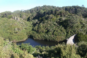 Priroda novog zelanda: s morskog dna do vrata