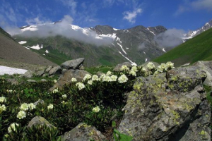 Priroda sjeverna osetia