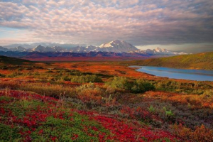 Prirodna tundra Prirodna tundra
