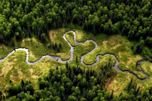 Amazonove probleme Amazonove probleme