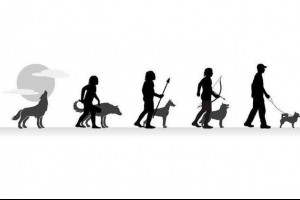 Podrijetlo i 40 milijuna godina evolucije psa