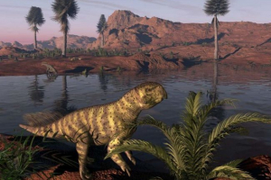 Psitakosavr Psitakosavr