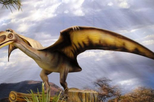 Pterodaktiloidi - prva pojačala zračnog prostora Pterodaktiloidi - prva pojačala zračnog prostora