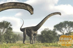 Puertosavr - jedan od najvećih dinosaura