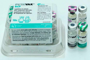 Purexx za mačke - koje bolesti sprječava?