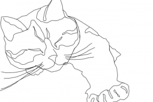 Bojanje mačaka i mačići za djecu Bojanje mačaka i mačići za djecu