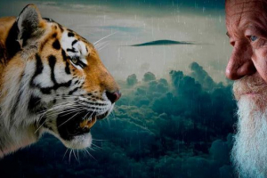 Razlike ljudi i životinja: inteligencija, fiziologija i psihologija