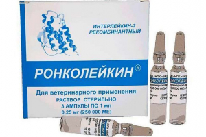 Roncolekin za pse - kada je propisano? Roncolekin za pse - kada je propisano?