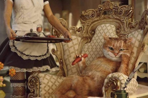 Bogati kućni ljubimci