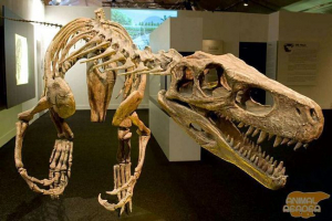 Najstariji dinosauri Najstariji dinosauri