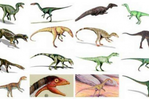 Prvi dinosauri na planeti - naslovi, kratak opis i fotografiju Prvi dinosauri na planeti - naslovi, kratak opis i fotografiju