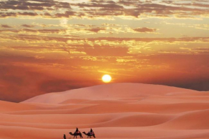 Najsnažnije životinje - stanovnici sahare Najsnažnije životinje - stanovnici sahare