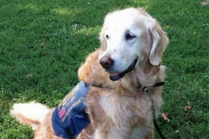 Psa, štedi ljude nakon terorističkog napada 11. Rujna, proslavio je 16. Obljetnicu