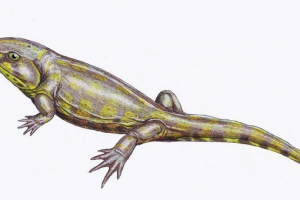 Stelocephali - dinosauri vodeći dvostruki način života