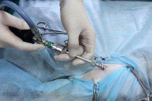 Sterilizacija mačaka laparoskopska metoda