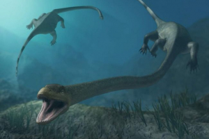 Tanistroin - gušter s nevjerojatno dugim vratom Tanistroin - gušter s nevjerojatno dugim vratom