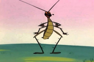 Žohari u književnim djelima Žohari u književnim djelima