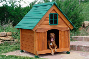 Topli karavel za pse - učinite to sami, crteži i upute Topli karavel za pse - učinite to sami, crteži i upute