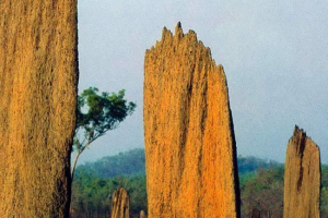 Thermantnik - remek-djelo inženjerska umjetnost