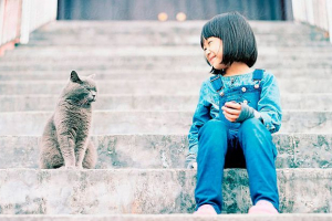 Top 3 najbolje bajke o mačkama iz djetinjstva