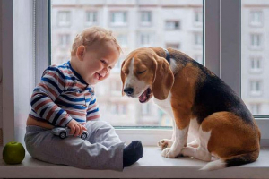 Top 7 najboljih pasmina za djecu