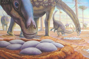 Znanstvenici su odredili tjelesnu temperaturu dinosaura: pomogla je ljuska jaja Znanstvenici su odredili tjelesnu temperaturu dinosaura: pomogla je ljuska jaja