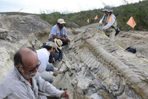 Znanstvenici iz cijelog svijeta traže ostatke dinosaura na vologdi