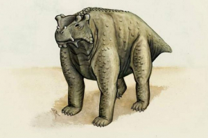 Znanstvenici su otkrili da su neki dinosauri otišli na četiri noge Znanstvenici su otkrili da su neki dinosauri otišli na četiri noge